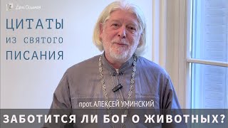 Заботится ли Бог о животных? — прот. Алексей Уминский, цитаты из Св. Писания, 31.10.24