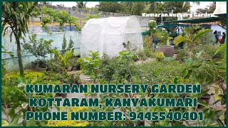 Kumaran nursery garden/ kottaram garden/ kanyakumari nursery garden garden.