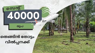 സെന്റിന് ₹40,000 രൂപ,തെങ്ങും തോട്ടം കോഴിക്കോട് ജില്ലയിൽ വിൽപ്പനയ്ക്ക്,ഫാമിന് പറ്റിയ സ്ഥലം..