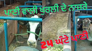 Buffalo and cow new design kurli // ਨਵੇਂ ਤਾਰੀਕੇ ਦੀ ਖੁਰਲੀ ਬਣਾਈ।।। @ Gurfateh farmer