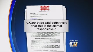 Frisco Police Issue Warning After Latest Attack By Coyote