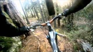 Enduro Freeride Bjørga Verdal