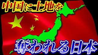 【北海道のリゾート地の現状】中国人に侵食される北海道と危機感を持たない日本政府【元北海道議会議員 小野寺まさる】