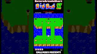 RetoroArcadeShort DigDug2 vol.7