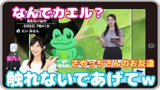 【魚住茉由】「素朴な疑問で おさや被弾ｗ 『なんで さやっちさんはカエルなんですか？』更に追い討ち『さやっちさーん』（笑）」※檜山沙耶キャスターは出ません【ウェザーニュース】20230606