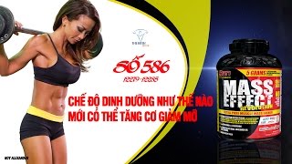 QA 586 - Cách né chấn thương hữu hiệu Squats và Deadlift