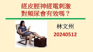 頻尿系列  經皮脛神經電刺激對頻尿有效嗎？－林文州20240511