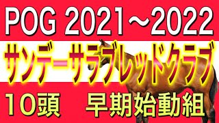 POG2021〜2022 No.② ノーザンファーム　サンデーサラブレッドクラブ  早期始動組　10頭‼︎【一口馬主】