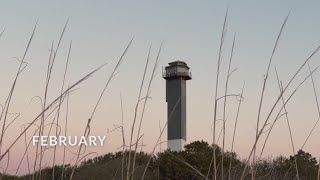 A year in review: Charleston's beauty in photos