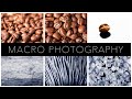 A Complete Guide to Macro Photography