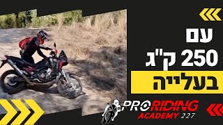 כפיר לוין מדגים - מה עושים כשנתקעים עם 250 ק\