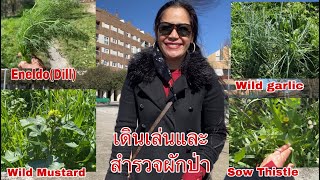 เดินเล่นสำรวจผักป่าที่กินได้ Take a walk at Barañáin area. 17March2021