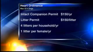 Illegal dog breeders beware