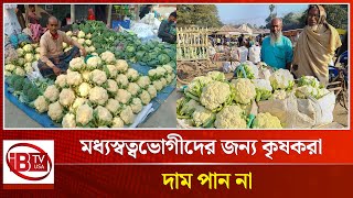 বগুড়ার ২ টাকার ফুলকপি ঢাকায় ৩০ টাকা | Cauliflower worth 2 taka | @IBTVUSA