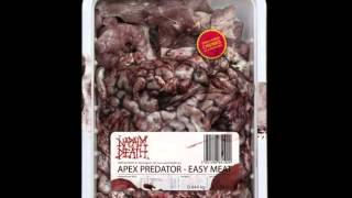 Napalm Death - Smash a Single Digit