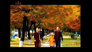 北朝鮮 「『20時報道』より平壌の秋風景 (20시보도 중에서 평양의 가을풍경)」 KCTV 2024/11/05 日本語字幕付き