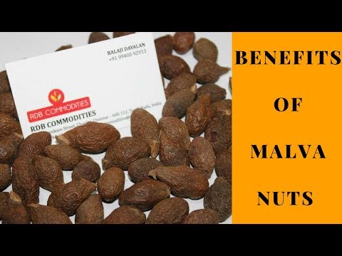 How to Use Malvanut How to Use Malvanut