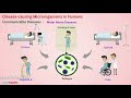 harmful microorganisms class 8 chapter 2 microorganisms friend and foe cbse learnfatafat