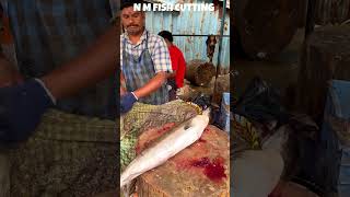 BIG GOBIA FISH 🐟 KASIMEDU FISH MARKET FISH CUTTING SKILLS #fishcutting