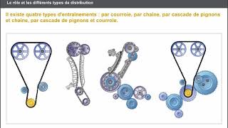 Les différents types de distribution et le rôle de distribution