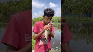 মাছের মুখে ফু দিয়ে বাঁচালাম🤯🐟#youtubeshorts #minivlog #shorts #viralvideo #shorts #video #fish