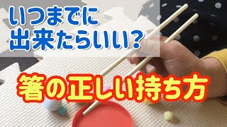 正しい箸の持ち方はいつまでに出来ればいい【子供でも簡単な練習方法と教え方】