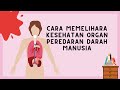 Cara Memelihara Kesehatan Organ Peredaran Darah Manusia - Kelas 5 Tema 4 Subtema 3