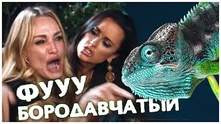 Бородавчатый или крокодиловый хамелеон 🦎 Содержание, уход и условия | Отличия от Пантерового