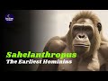 Sahelanthropus:  The Earliest Hominins:  From Dinosaurs to Early Primates | Human Evolution