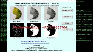 Citrus Plant Disease Classification Using Image Processing | Python Project With Source Code