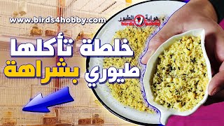 طريقة صنع خلطة الباطي بالبيض للطيور الكناري و جميع طيور الزينة