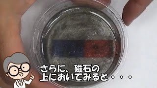 ☆miniサイエンスショー☆　磁石の力をゆっくり見てみよう！