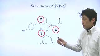 Unit 9 Part 2   Why is GFP Fluorescent?