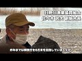 福井県内初｜３月稚鮎放流｜日野川漁業協同組合