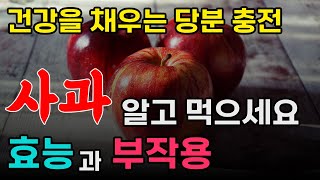 사과의 효능과 부작용 + 꿀팁! | 맛있는 건강 비결, 새콤달콤한 사과의 놀라운 힘!