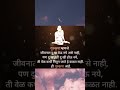 स्वामीमय शुभ रात्री 🙏 shortsfeed स्वामी स्वामीभक्त