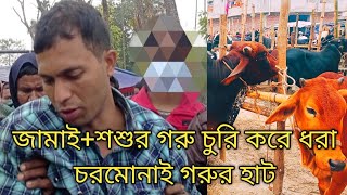 জামাই শশুর গরু চুরি করে ধরা চরমোনাই গরুর হাটে। বরিশালের সবচেয়ে বড় গরুর হাট। সাবধানে গরু কিনবেন