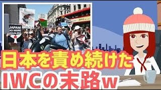 【海外の反応】議長発狂！散々日本を責め続けたIWCが今更慌てだす！脱退する日本に続かないように各国に通告し始める！【スカッと時事】