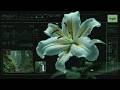 Dark Ambient Neural Protocol Music - Cyber Lily Interface | Futuristic Rain Atmosphere
