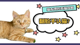 翻脸不认猫？