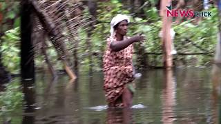 Kerala Floods: How the Common People Saved the State