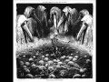 Putrisect 