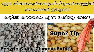 മിനിറ്റുകൾക്കുള്ളിൽ എത്ര കിലോ കൂർക്കലും നന്നാക്കാം കയ്യിൽകറവരാതെ Chinese Potato Cleaning With Cloth