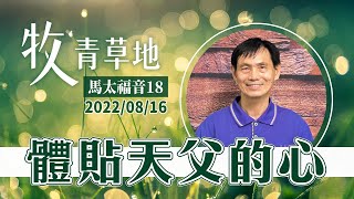 體貼天父的心│馬太福音18│20220816牧人青草地│EP238