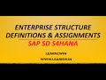 Enterprise Structure SAP SD | organizational structure sap sd | org structure sap sd s4hana