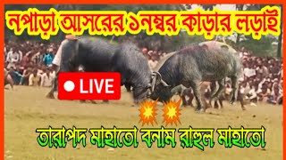 নপাড়া আসরের ১নম্বর কাড়ার লড়াই💥 তাড়াতাড়ি দেখুন 💥💥