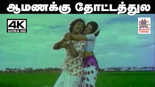 Aamanukku Thottathula மலேசியா வாசுதேவன் வாணிஜெயராம்  பாடிய நாட்டுப்புற பாடல் ஆமணக்கு தோட்டத்துல