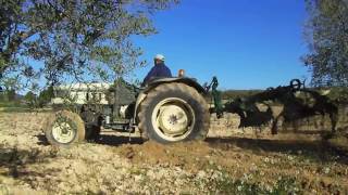 Lamborghini 775-F Tractor Ploughing