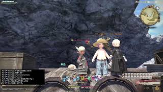 【FF14】エレDCでクリコン