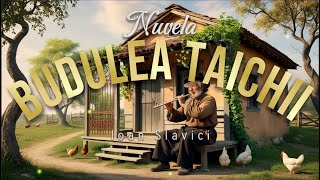 Budulea Taichii | de Ioan Slavici | 2024